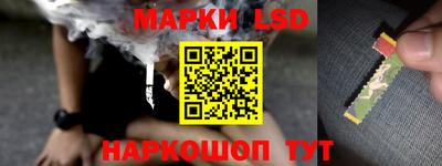 спайс Коммунар