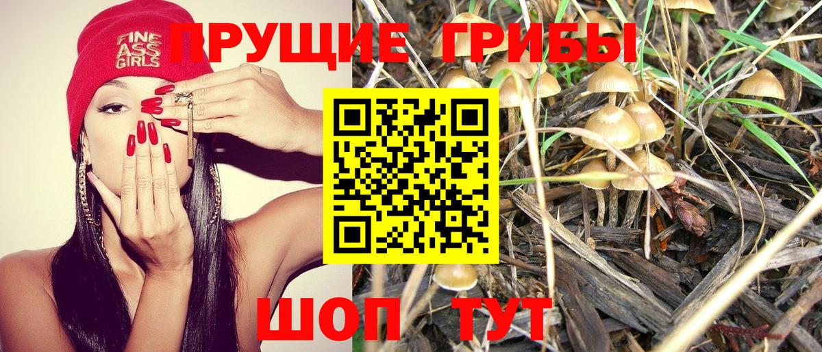Ухта  Псилоцибиновые грибы мухоморы  Вход с VPN 