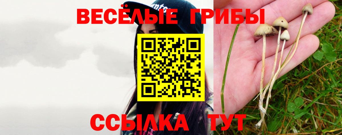 Галлюциногенные грибы Cubensis Ухта